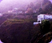 Total Wellness Home